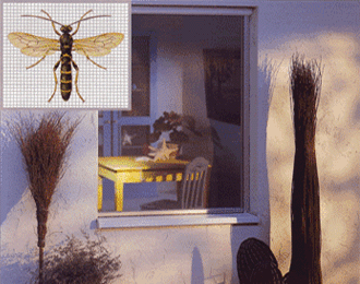 Insektenschutz1